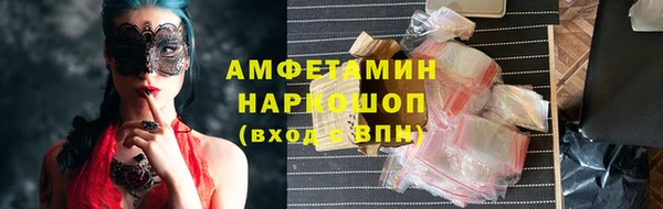 индика Абинск