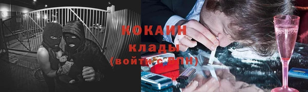 индика Абинск