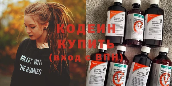 индика Абинск