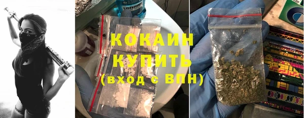 индика Абинск
